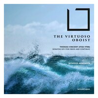 Sonata, Op. 1 No. 2 in A Minor: 4.Allegro - Intarsio Armonico & Giuseppe Falciglia & Lisa Moroko & Stefano Sopranzi & Federico Immesi