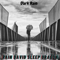 Streetlight Rain - Rain David Sleep Dragon