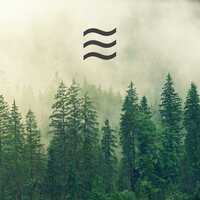 Smooth Sounds of Forest for Smooth Yoga Training
