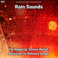 Great Sound Effect - Rain Sounds & Nature Sounds & Rain Sounds by Alan Naake