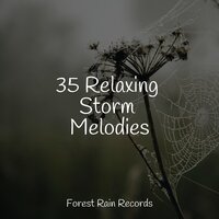 35 Relaxing Storm Melodies