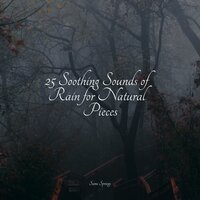 25 Soothing Sounds of Rain for Natural Pieces