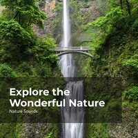 Wonders of Earth - Nature Sounds & Nature Sounds Nature Music & Sleep Sounds Of Nature