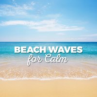 Beach Waves for Calm