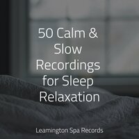 Relax Yourself to Sleep - Namaste Healing Yoga & Naturaleza Relajacion & Sleep Sounds Of Nature
