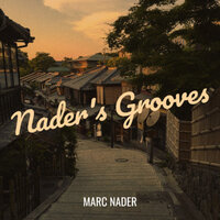 THE DR NADER SYNDYCATED RADIO SHOW