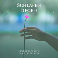 Die Natur - Schlafen Lernen