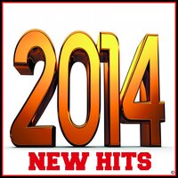 New Hits 2014