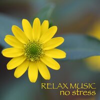 Super Relaxing Music - No Stress Ensemble