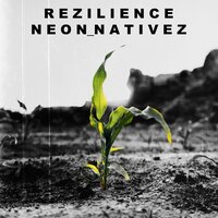 C E D A R_SMOKE - Neon Nativez & Eagle Boy