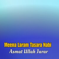 Mubaraki Warkai Pa Meena - Asmat Ullah Jarar
