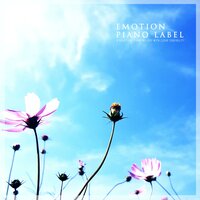 A Beautiful Piano Melody With Clear Sensibility