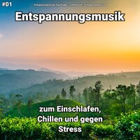 Strahlende Empfindungen - Entspannungsmusik & Schlafmusik & Entspannungsmusik Paul Esgen