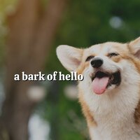 A Bark of Hello