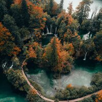 40 Soothing Sounds of Nature | Calming Music | Complete Serenity