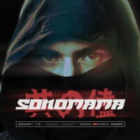 Favela - Sonar