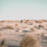 Música de Relajación Profunda: Sonidos Ambientales Para Dormir