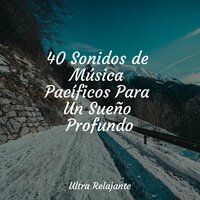 Cenizas Y Ascuas - Meditar Profundamente & Musica Para Meditar & Naturaleza Relajacion