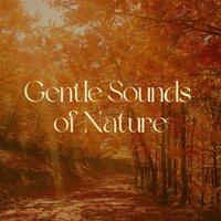 Gentle Sounds of Nature