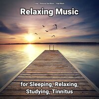 Ambient Music to Study To - Relaxing Spa Music & Yoga Music & Yoga