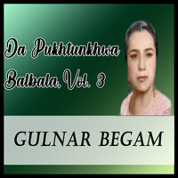 Ma Pa Turo Zalfo - Gulnar Begam