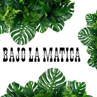 Bajo la Matica - Julio Miguel & Los Incateños