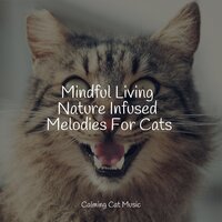 Mindful Living Nature Infused Melodies For Cats