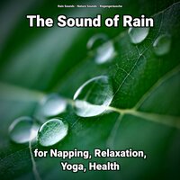 The Sound of Rain for Napping and Relaxation Pt. 55 - Nature Sounds & Rain Sounds & Regengeräusche
