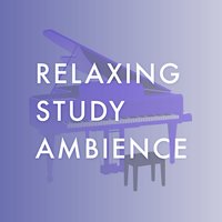 Relaxing Study Ambience
