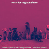 Uplifting Music for Sleepy Puppies - Acoustic Guitars
