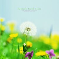 Sweet Music With Preaching (Piano Accessories)