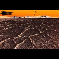 WITHER - FRAUD!