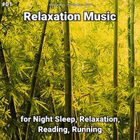 Relaxation Music Pt. 64 - Sleeping Music & Relaxing music & Yoga