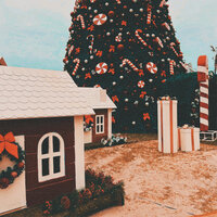 Esta Navidad (Versión Medianoche) - AMAICURA