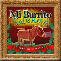 Mi Burrito Sabanero - Chino Espinoza y Los Duenos del Son