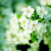 A clear and fine piano (preaching music)