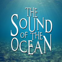 The Sound of the Ocean