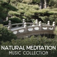 Zen Contemplation Music - Guided Meditation Music Zone