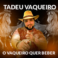 O Vaqueiro Quer Beber - Tadeu Vaqueiro