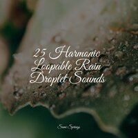 25 Harmonic Loopable Rain Droplet Sounds
