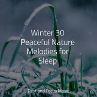 Winter 30 Peaceful Nature Melodies for Sleep