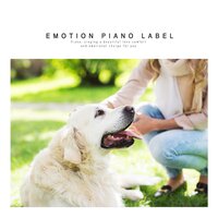 Healing piano (Emotional New Age)