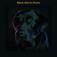 Third Sun - Calm Music For Studying & Music for Reading & Reading Background Music Playlist