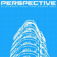 Perspective