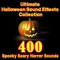 Ghostly Music Swell 24 - Dr. Sound Effects