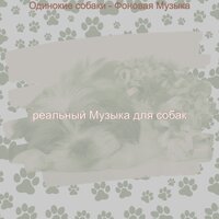 Одинокие собаки - Фоновая Музыка