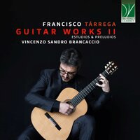 Estudio - Vincenzo Sandro Brancaccio