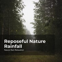 Soothing Nature Rain - Rain Recorders & Rainfall & Nature Rain Relaxation