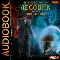 Лесовик. Книга 8. Отверженный. Часть 4 - Олег Кейнз