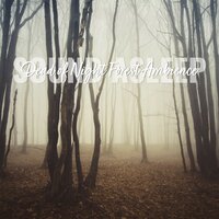 Dead of Night Forest Ambience, Pt. 9 - Elijah Wagner